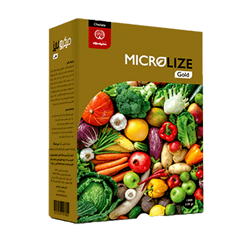کود طلایی میکرولایز