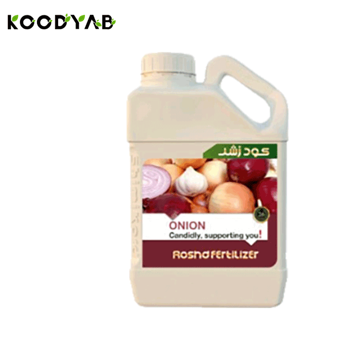 کود پیاز رشد