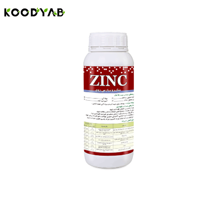 کود روی میکرو پارس