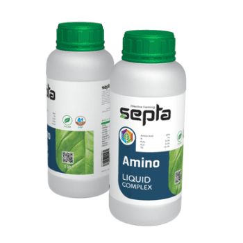 کود آمینو سپتا