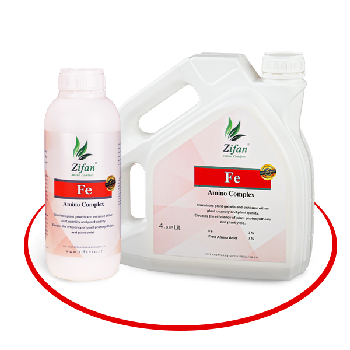 کود آمینو کمپلکس آهن زیفان