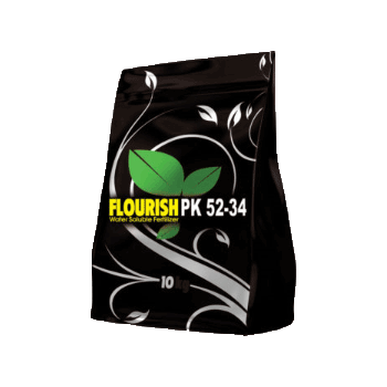 کود00 34 52 فلوریش