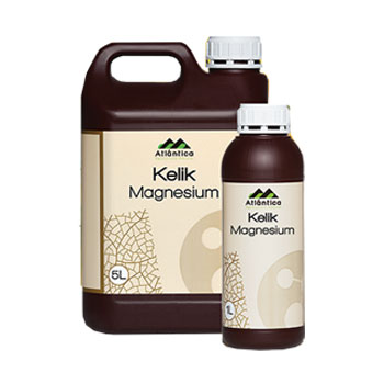 کود کلیک منیزیم آتلانتیکا