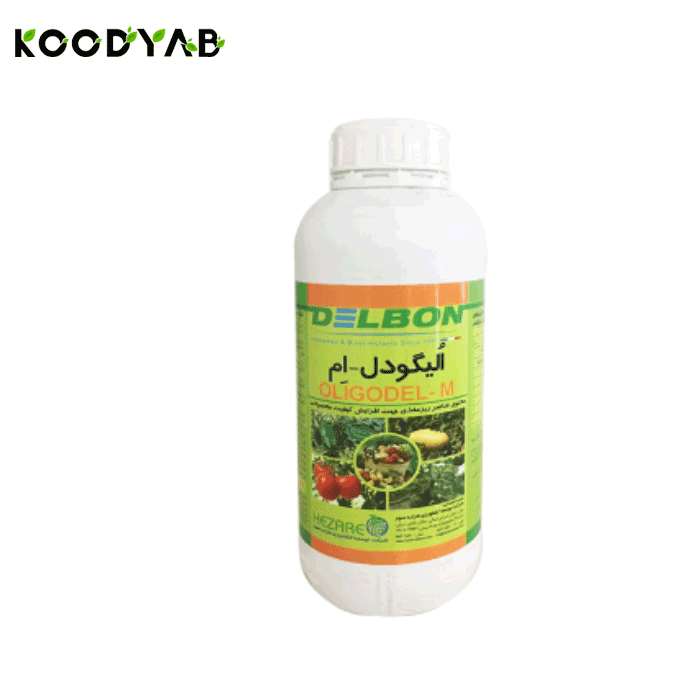 کود الیگودل ام هزاره 