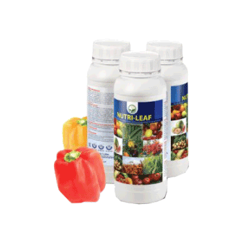 کود نوتری لیف داتیس