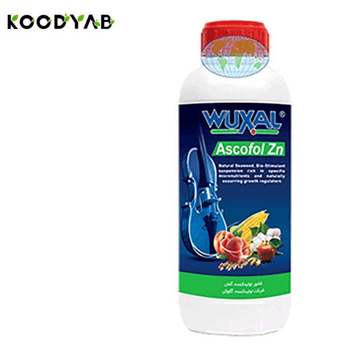 کود آسکوفول روی وکسال