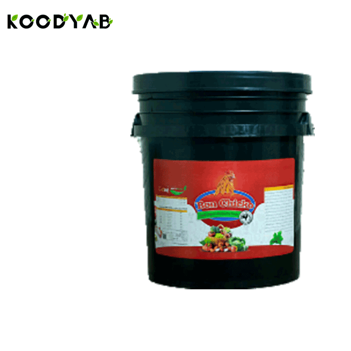 کود بن چیکو بن شت