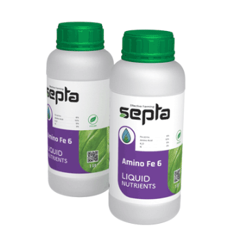 کود آمینو آهن 6 سپتا