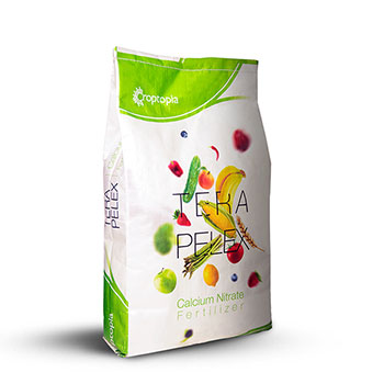 کود تراپلکس سی ان راپتوپیا