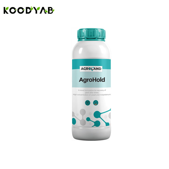 کود آگروهلد آگرولند