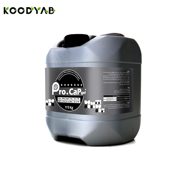 کود کلسیم فسفر پایا تجارت