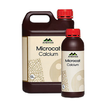 کود کلیک کلسیم آتلانتیکا