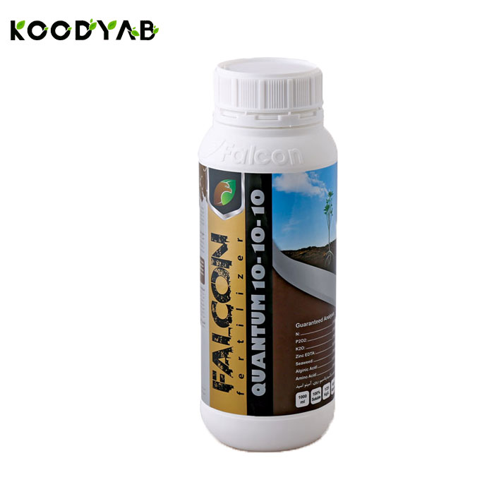 کود کوانتوم فالکون