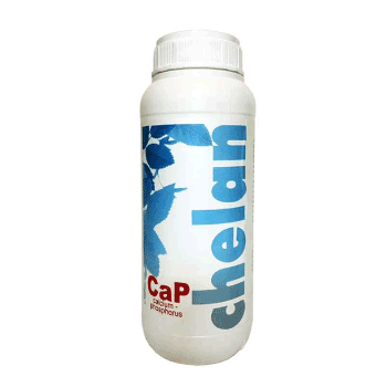 کود کلان کپ گمانیچر   