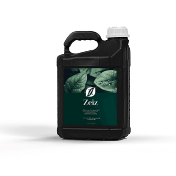 کود اکسی زایز