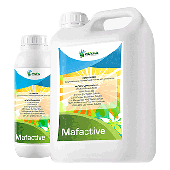 کود اکتیو مافا