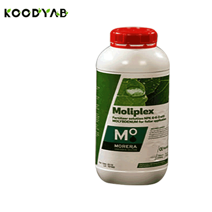 کود مولیپلکس موررا