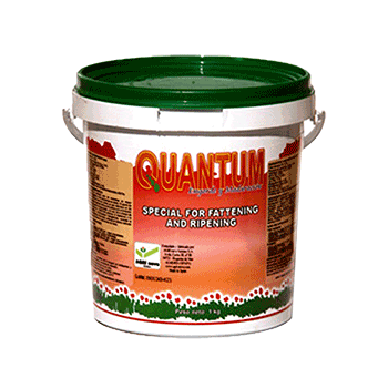 کود کوانتوم مخصوص درشت شدن  میوه اگری نوا