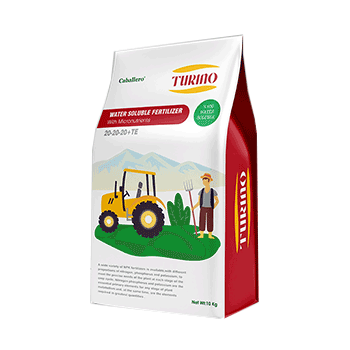 کود 20 20 20 تورینو