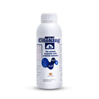 کود سیتوکینگ آنوکا