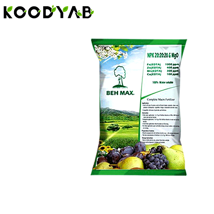 کود 20 20 20 به ماکس