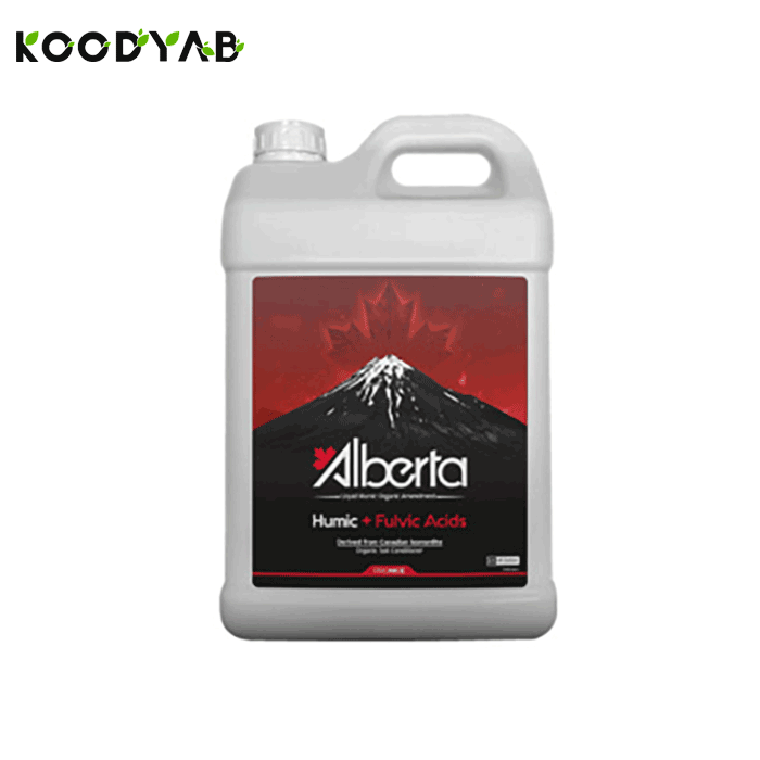 کود آلبرتا پرونایس