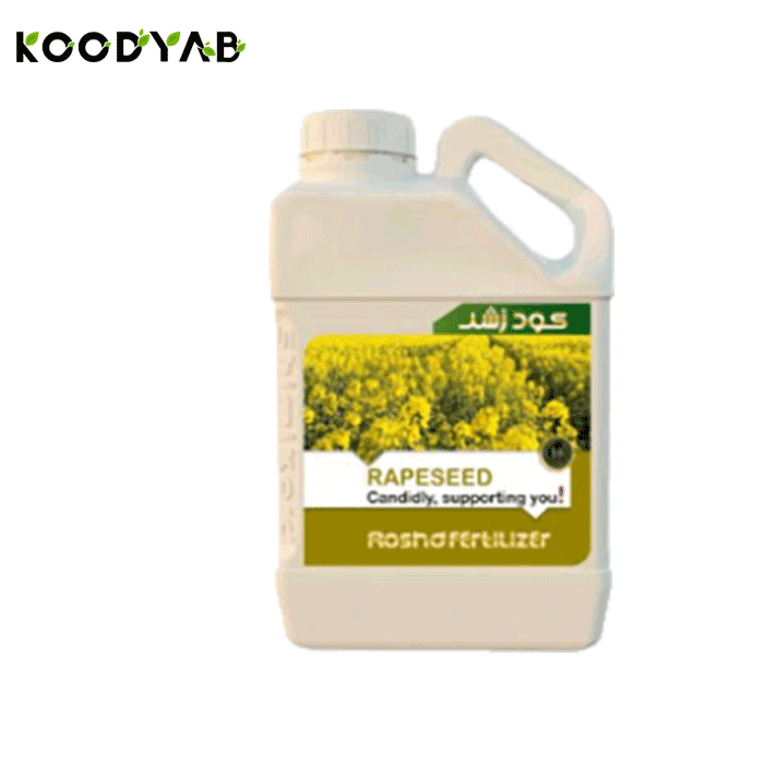 کود کلزا رشد