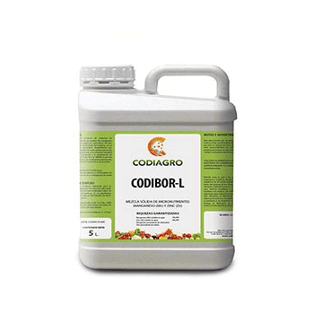 کود کدی بر ال کودیاگرو