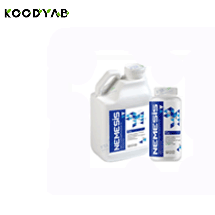 کود مس نمسیس