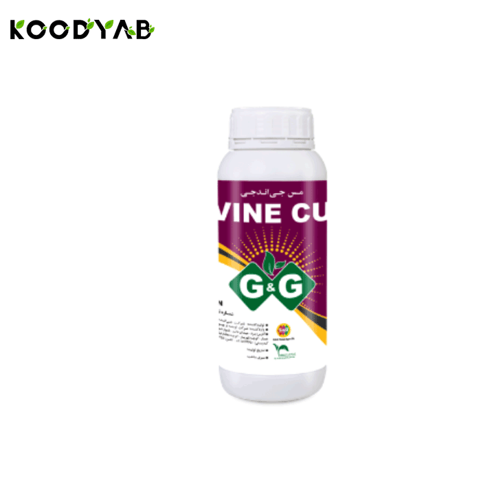 کود مس جی اند جی