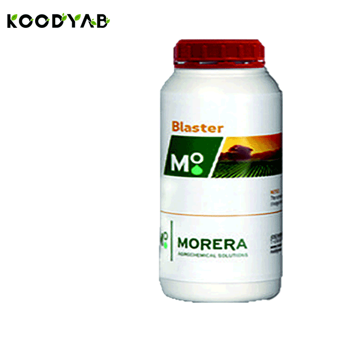 کود بلاستر موررا