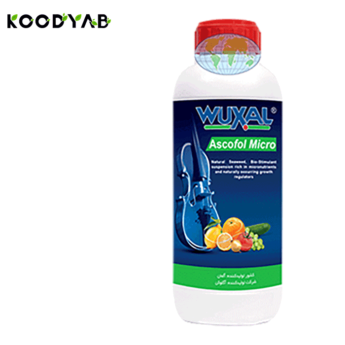 کود آسکوفول میکرو وکسال