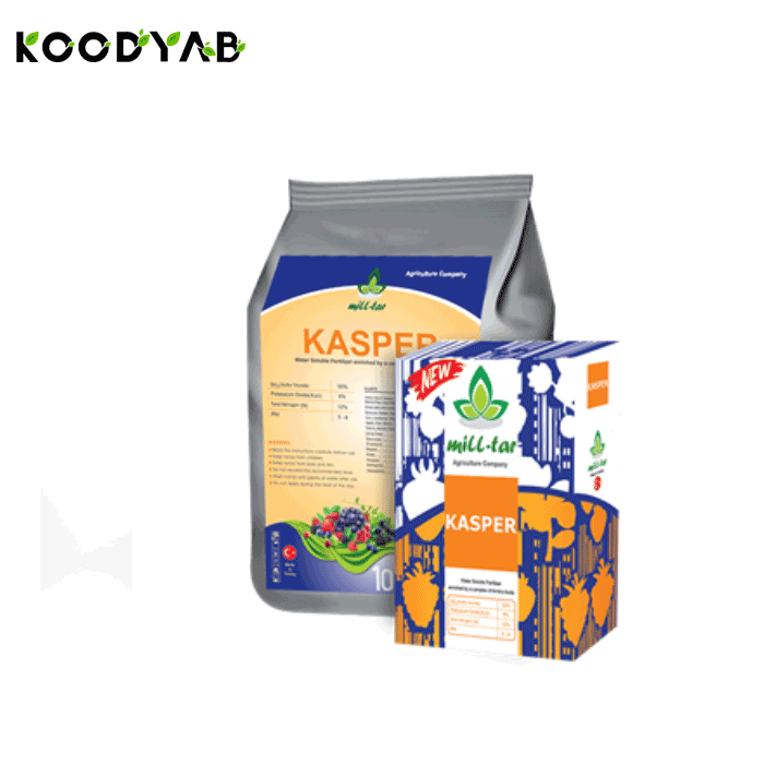 کود کاسپر میل تار