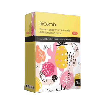 کود ریکومبی ریکو