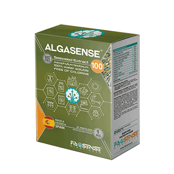 کود جلبک دریایی فیتوسنس