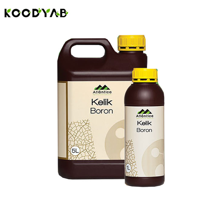 کود کلیک بر آتلانتیکا