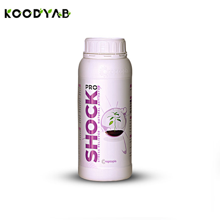 کود پروشوک راپتوپیا