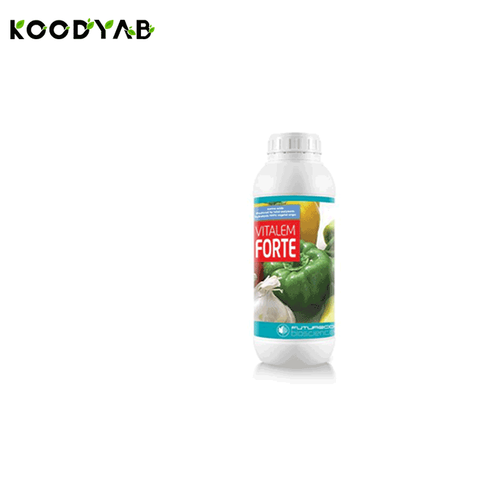 کود ویتالم فورت فیوچرکو