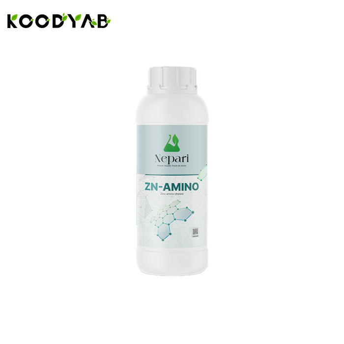 کود مایع آمینوکلات روی 