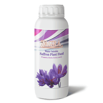 کود زعفران زاگرا استار