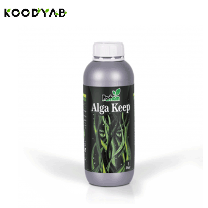 کود آلگا کیپ پرهام