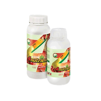 کود فورنوترینت جنرال داتیس