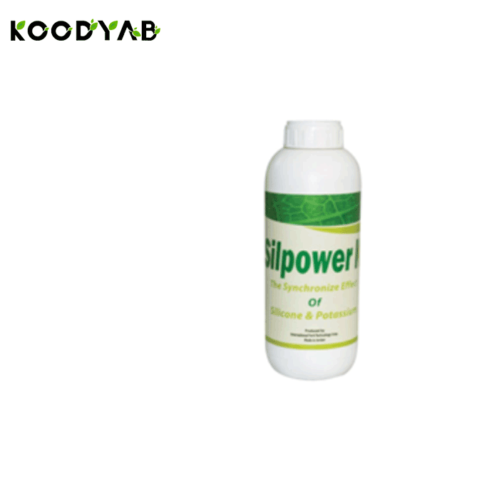 کود سیلپاور پتاس آی اف تی سی