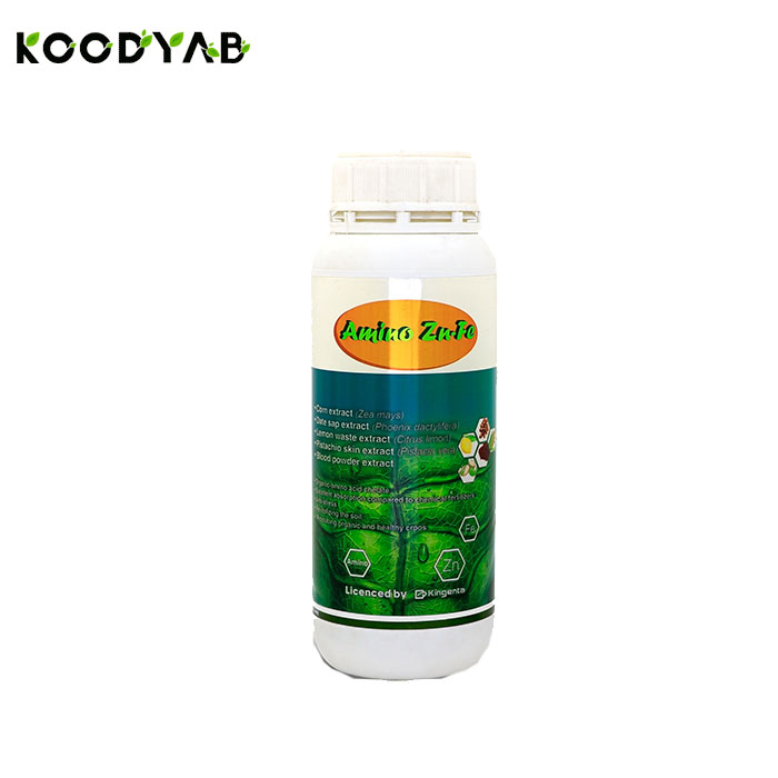 کود آمینو کلات روی آهن هلسی سبزکاوشان