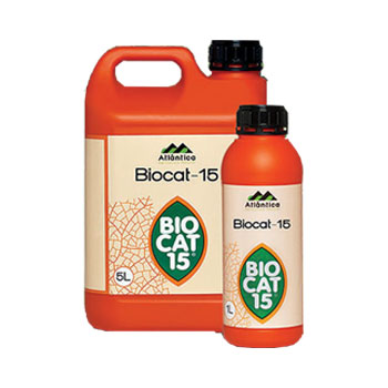 کود بیوکت 15 آتلانتیکا