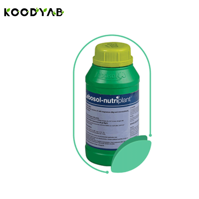 کود نوتری پلنت 36 لبوسل