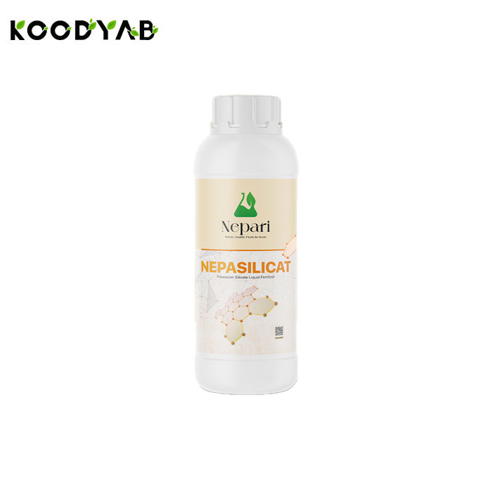 کود مایع سیلیکات پتاسیم نپاسیلیکلات 
