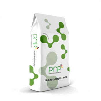 کود 20 6 19 پی ان پی