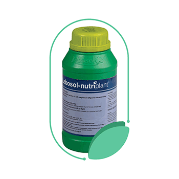 کود نوتری پلنت 36 لبوسل