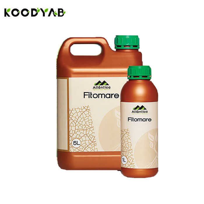 کود فیتومار آتلانتیکا